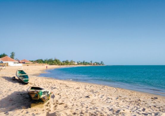 Que faire à Saly