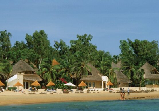Que faire à Saly