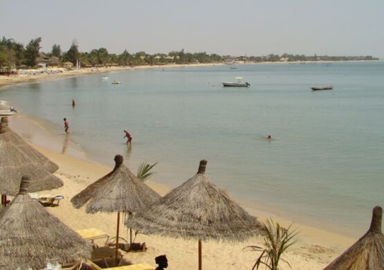 Que faire à Saly
